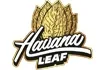 HAVANA LEAF