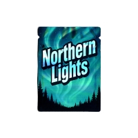 SMOKE PROOF BAGS 1G 100CT - NORTHERN LIGHTS