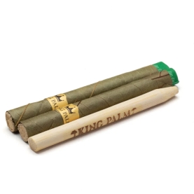 KING PALM CONES 5PC 8CT
