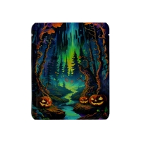 MYLAR BAGS 3.5G 50CT - 4 HALLOWEEN PUMPKIN