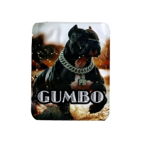 MYLAR BAGS 3.5G 50CT - 33 GUMBO