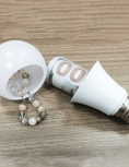 STASH LIGHT BULBS STR23029