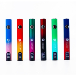 TSUNAMI BATTERY FORCE PRO 650MAH 24CT - ASSORTED