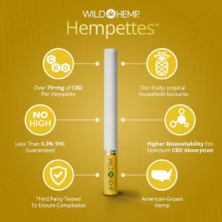 WILD HEMP HEMPETTES CARTON